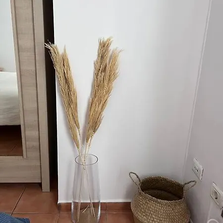 Casa Lunita * 아로나